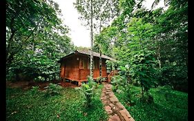 Bamboo Creek Resort